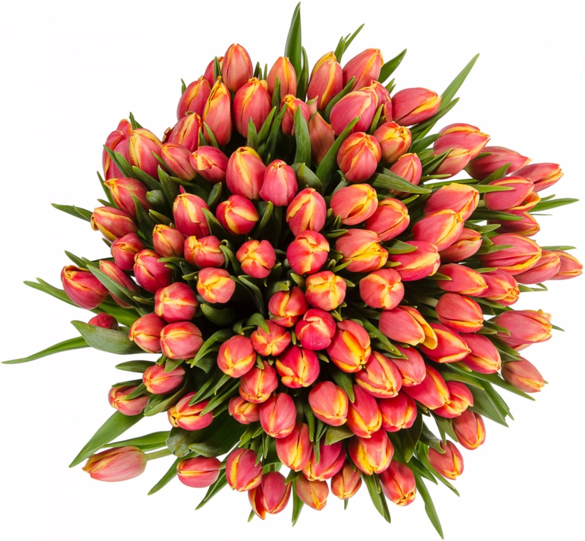 купить цветы Букет из рыжих тюльпанов